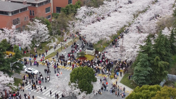 鉴真大道