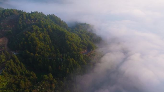 江南高山云海云雾丽水晨曦风光航拍合集