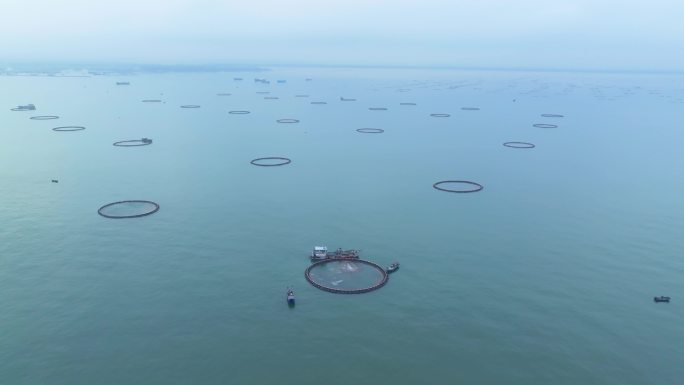 海上养殖渔业养殖网箱养殖深水网箱养殖基地