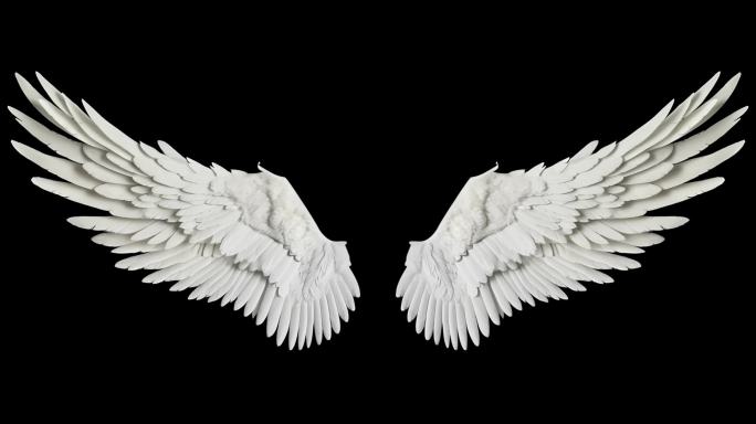 白色翅膀-带透明通道