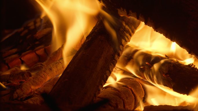 燃烧的木炭火木柴火焰篝火苗