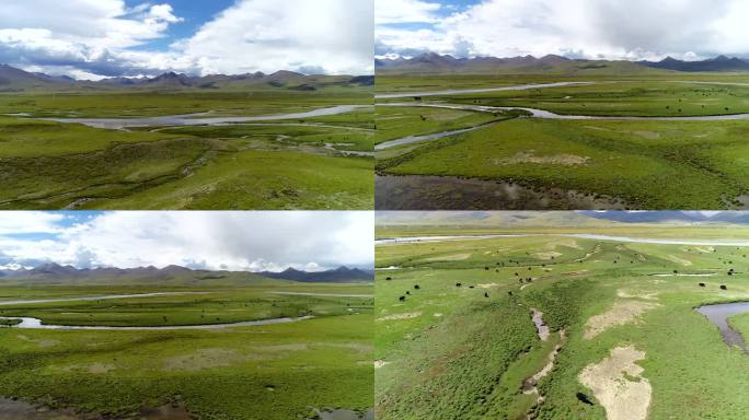 西藏高原草原
