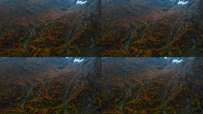 美丽的空中全景高原在秋天的一天，雪在山顶，其他星球的表面