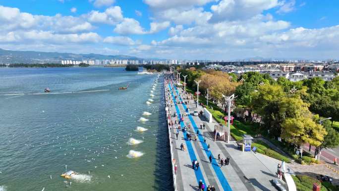 昆明海埂大坝海鸥飞翔航拍