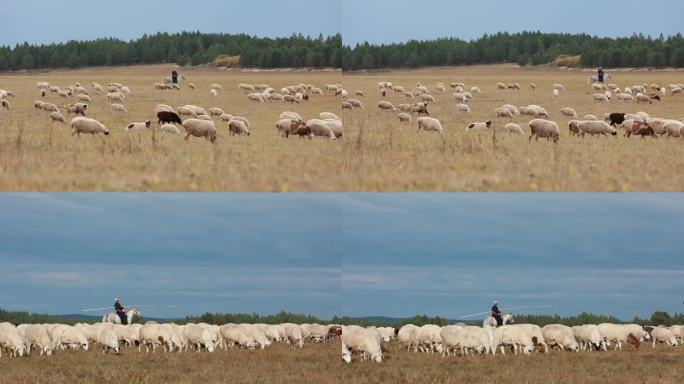 秋季牧羊人