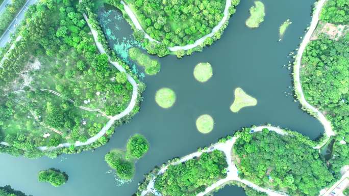 航拍松山湖生态湿地小岛露营地