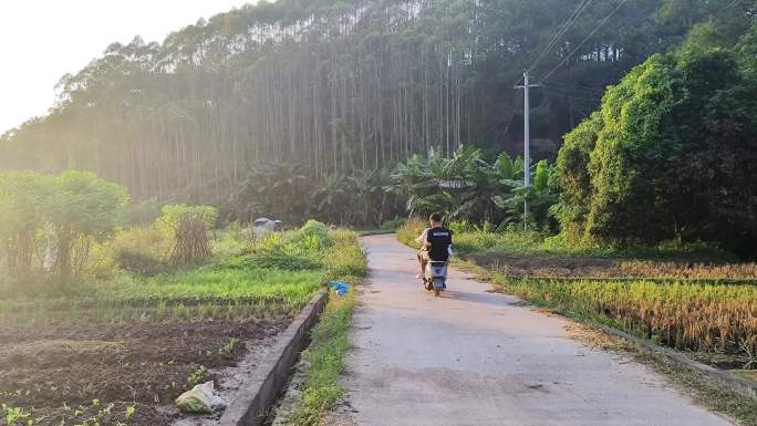 有阳光的小路夕阳晨曦早晨乡间小路山涧小路