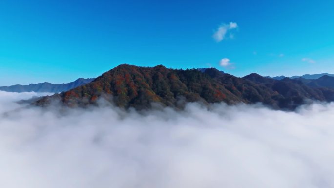 巴中米仓山香炉山云海