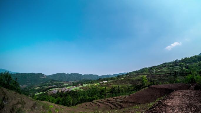 沙湾·峨山梯田