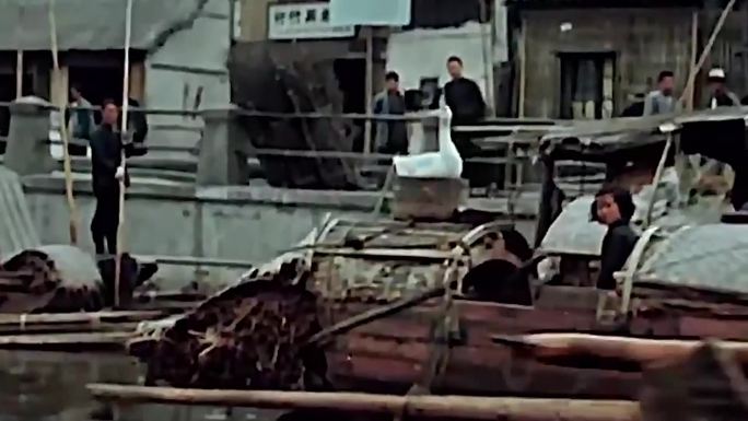 40年代香港渔民生活