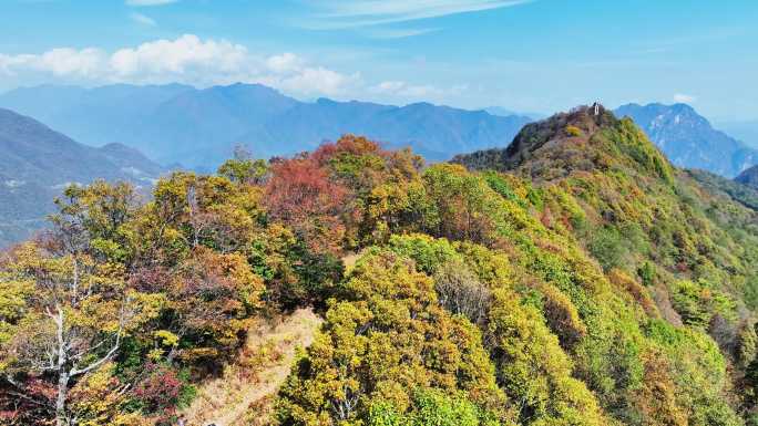 大山的秋天