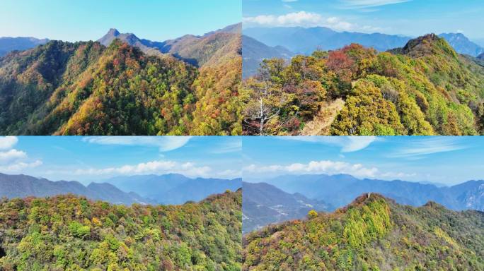 大山的秋天