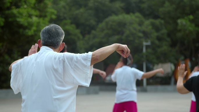 清晨老人打太极