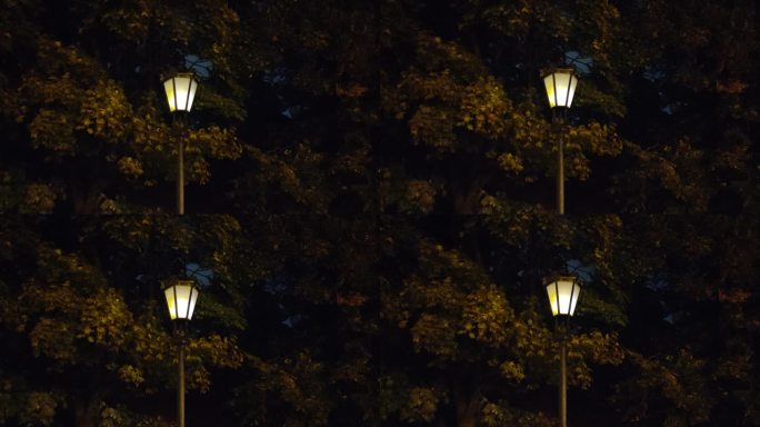 夜晚公园里闪烁的灯笼，背景是黑暗的天空和树叶