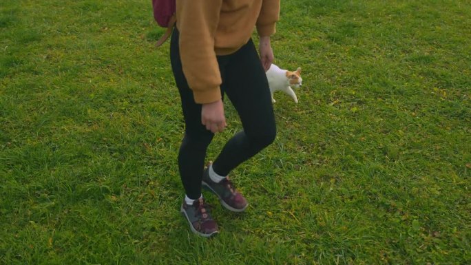 秋天，女人带着猫在白云石公园散步
