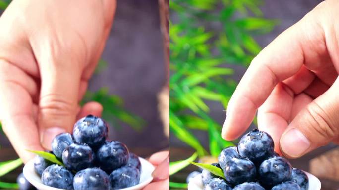 蓝莓  大蓝莓 水果 蓝莓果 蓝莓竖屏