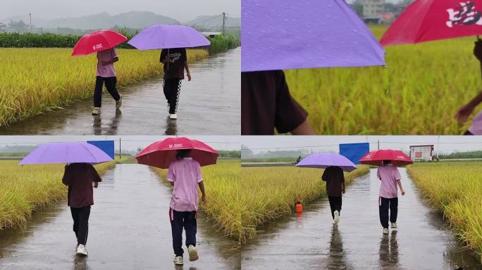 下雨天打伞上学的小学生雨中走路上学的学生
