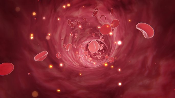 三维血管血液流通红细胞