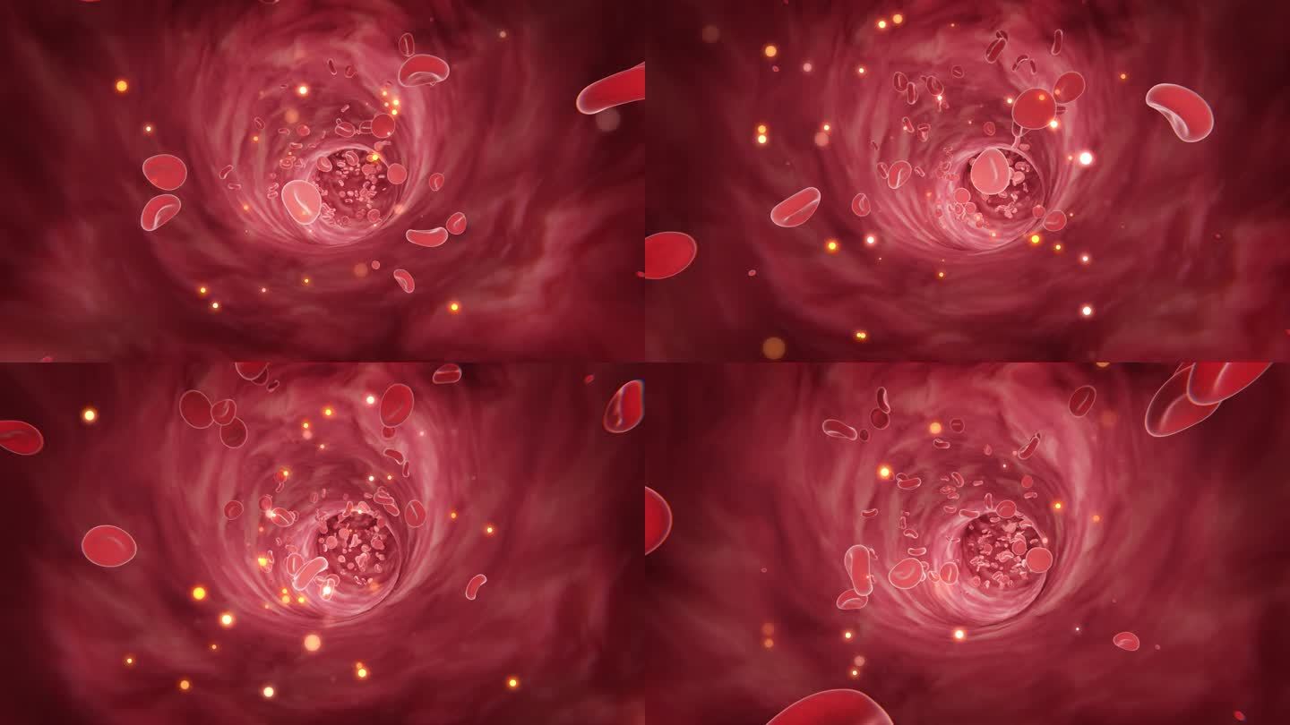 三维血管血液流通红细胞