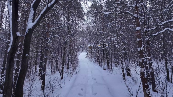 山林雪景雪地脚印