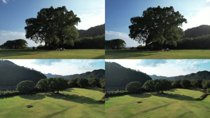 户外空旷大草坪露营户外营地