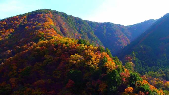 日本大山农村