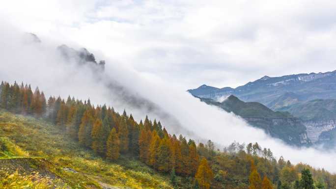 金佛山秋色映流瀑