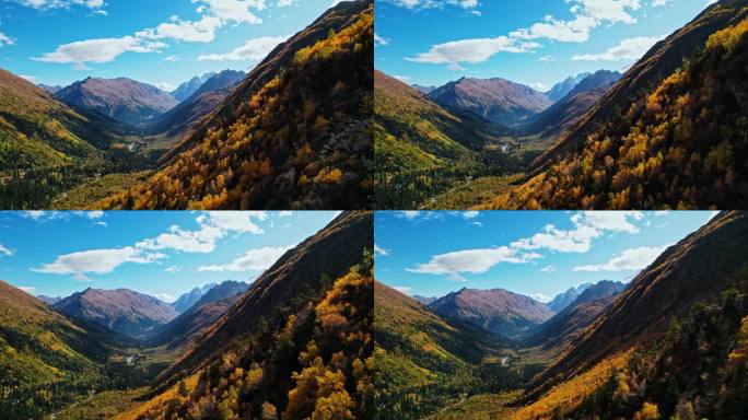 令人惊叹的风景如画的山在阳光明媚的秋天，自然之美