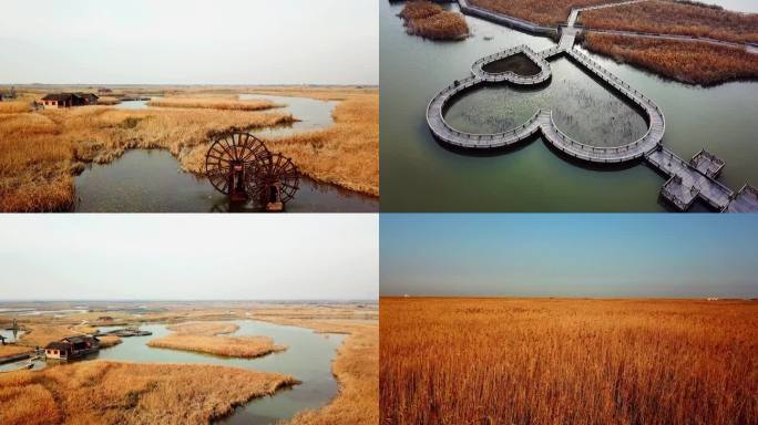 杭州湾湿地 五磊寺 海边