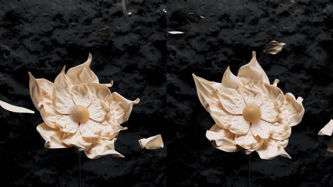 三维动态花朵效果动画视频素材
