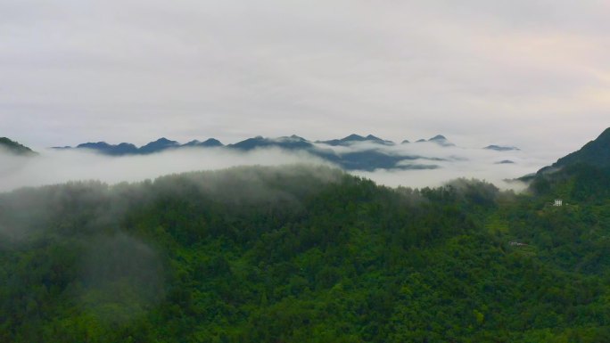 似仙境般云雾缭绕大山森林雨林山林植物林地