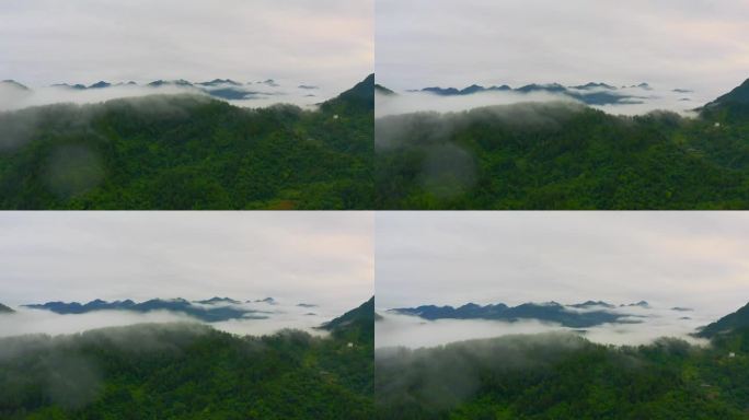 似仙境般云雾缭绕大山森林雨林山林植物林地