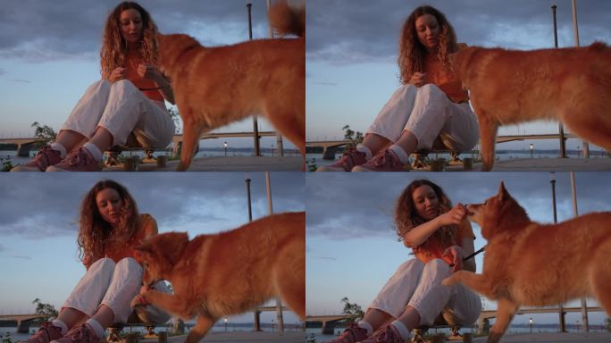 一个时髦的女人训练她的红毛狗散步，给它下命令，给它喂食