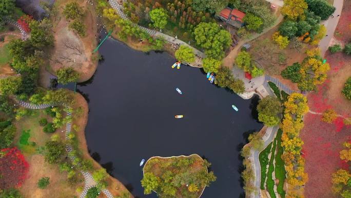 秋景航拍小西湖 秋景 景色 航拍