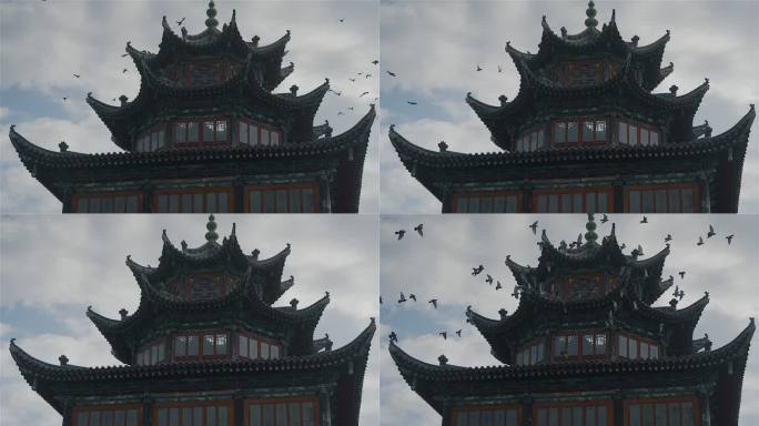 古代建筑物前一群鸽子围绕飞行
