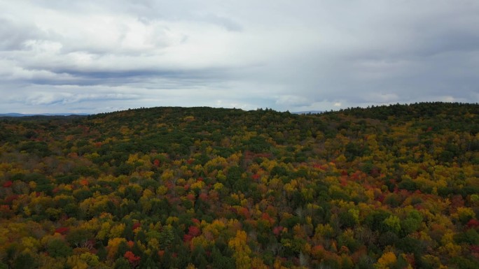 马萨诸塞州西部的航拍图。山坡上点缀着丰富的红色，橙色和黄色，创造了一个风景如画的场景，就像直接从明信