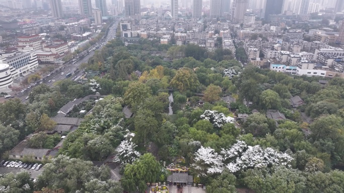 航拍济南趵突泉公园雪景