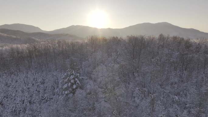 冰天雪地东北雾凇雪山