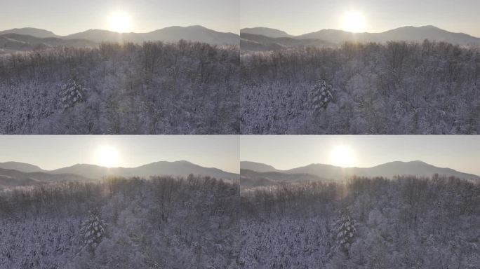 冰天雪地东北雾凇雪山