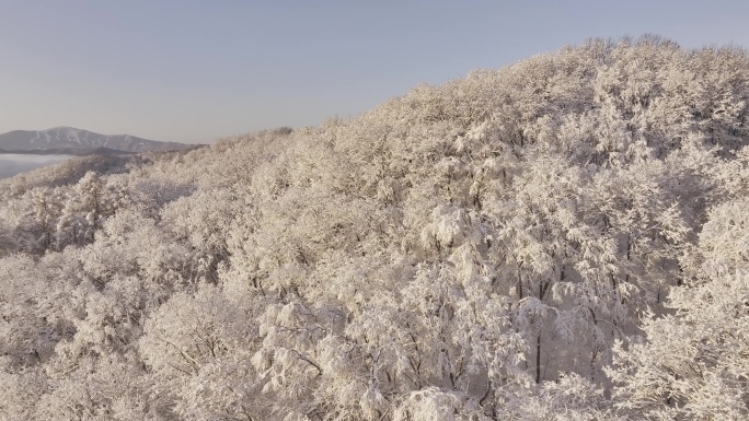 冰天雪地东北雾凇雪山