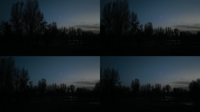 天空中的一轮明月
