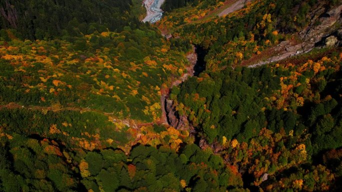 美丽的多色森林在秋天的一天，鸟瞰，风景如画的山谷与林地