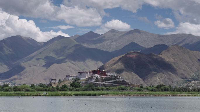 西藏拉萨布达拉宫湿地延时