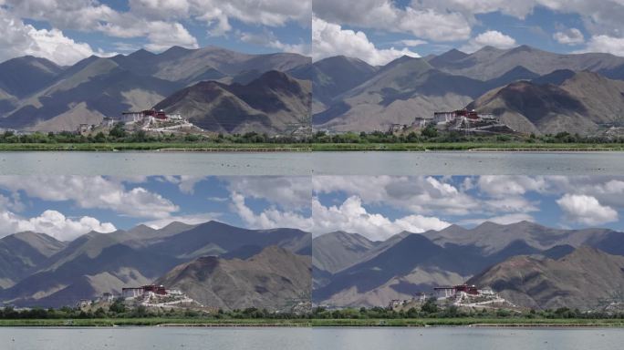 西藏拉萨布达拉宫湿地延时