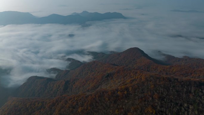 云海山峰森林日出延时