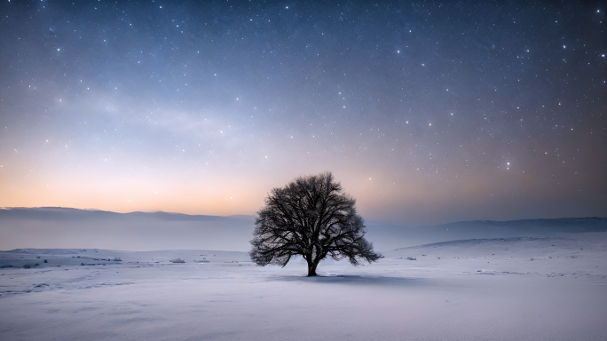 星空下孤独的树 生命之树