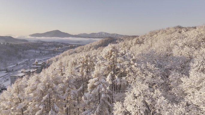 冰天雪地东北雾凇雪山