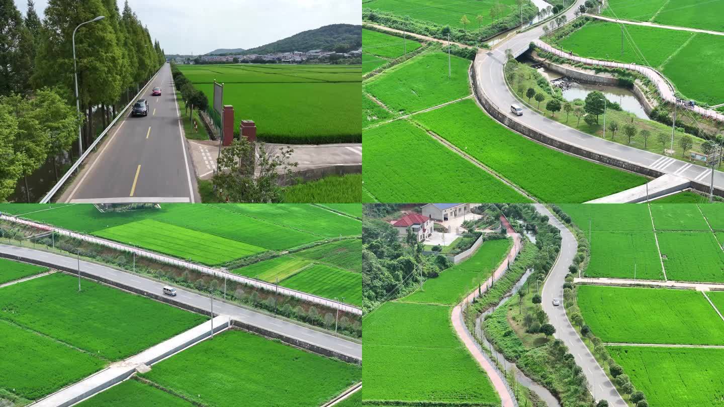 车辆行驶在田间道路