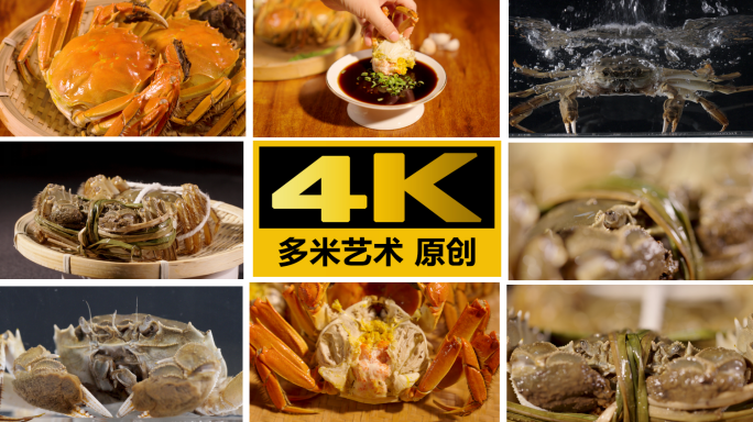 大闸蟹高清4K镜头