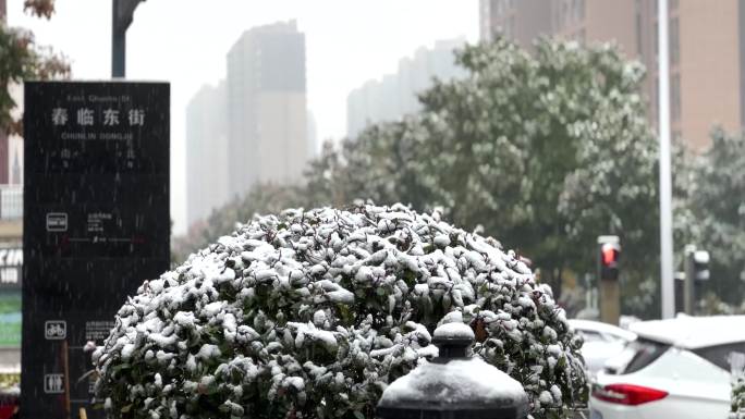 【原创】4k实拍城市小区街道冬天下雪雪景